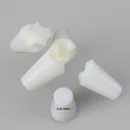 Tetrapod chắn sóng/chống xói mòn - Không cần support - Thumbnail 2