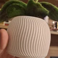 Chậu cây 3D tối giản họa tiết gân sóng hiện đại (Flower Pot 2) - Thumbnail 2