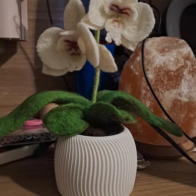 Chậu cây 3D tối giản họa tiết gân sóng hiện đại (Flower Pot 2)