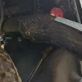 Chắn bùn cho baga xe đạp - Thumbnail 2