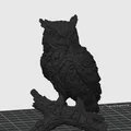 Tượng Cú Mèo Gỗ (Wooden OWL sculpture) - Thumbnail 2