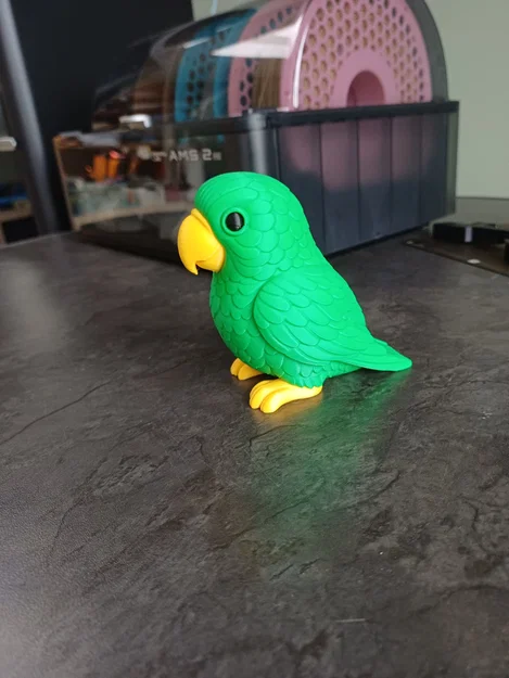 Vẹt Nhiệt Đới Nhiều Màu (Colorful Tropical Parrot) - Image 2