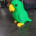 Vẹt Nhiệt Đới Nhiều Màu (Colorful Tropical Parrot) - Thumbnail 3