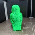Vẹt Nhiệt Đới Nhiều Màu (Colorful Tropical Parrot) - Thumbnail 4