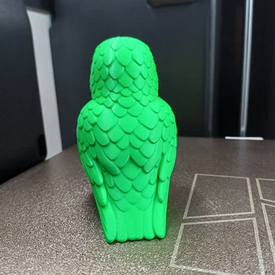Vẹt Nhiệt Đới Nhiều Màu (Colorful Tropical Parrot)