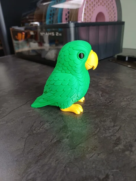 Vẹt Nhiệt Đới Nhiều Màu (Colorful Tropical Parrot) - Image 5