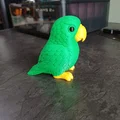 Vẹt Nhiệt Đới Nhiều Màu (Colorful Tropical Parrot) - Thumbnail 5
