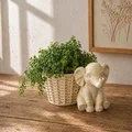 Chậu trồng cây hình voi – Giá đỡ cây dễ thương (Elephant Planter Pot) - Thumbnail 10