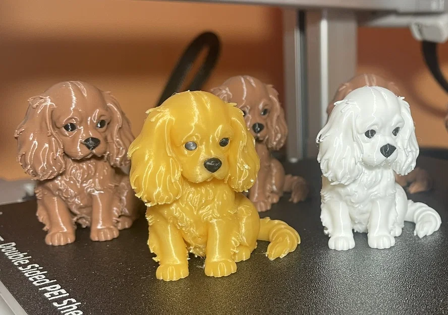 Agnes: Cô nàng Cavalier King Charles Spaniel siêu dễ thương - Image 1