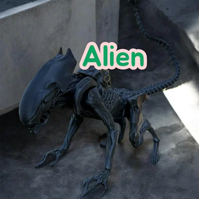Alien, xenomorph non (young)