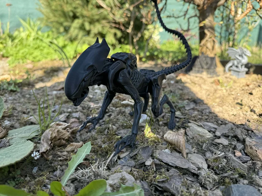 Alien, xenomorph non (young) - Image 2