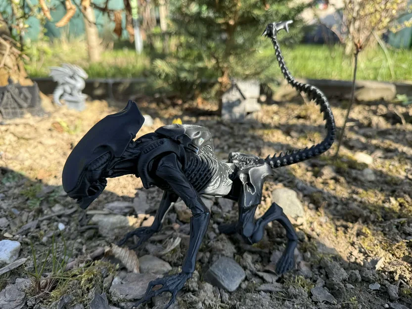Alien, xenomorph non (young) - Image 3
