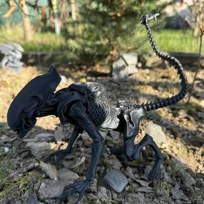 Alien, xenomorph non (young)