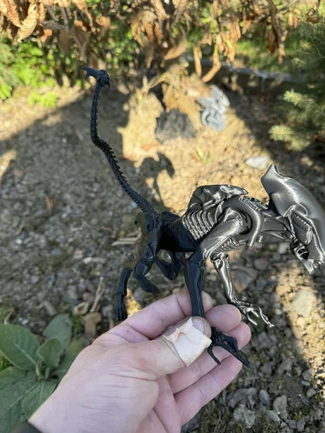Alien, xenomorph non (young) - Image 4