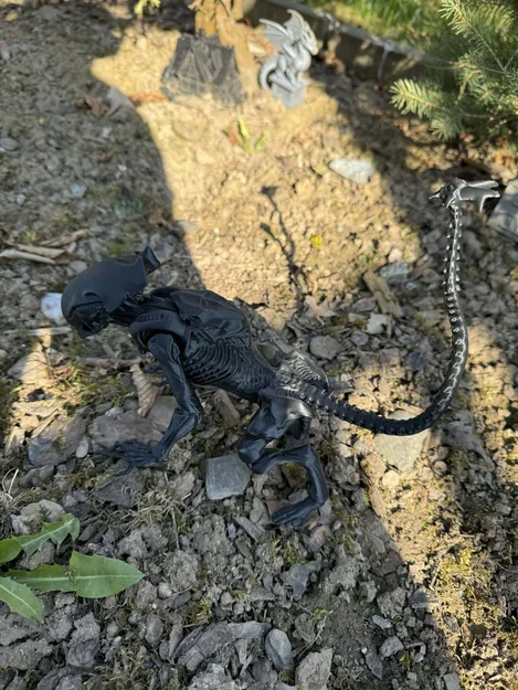 Alien, xenomorph non (young) - Image 5