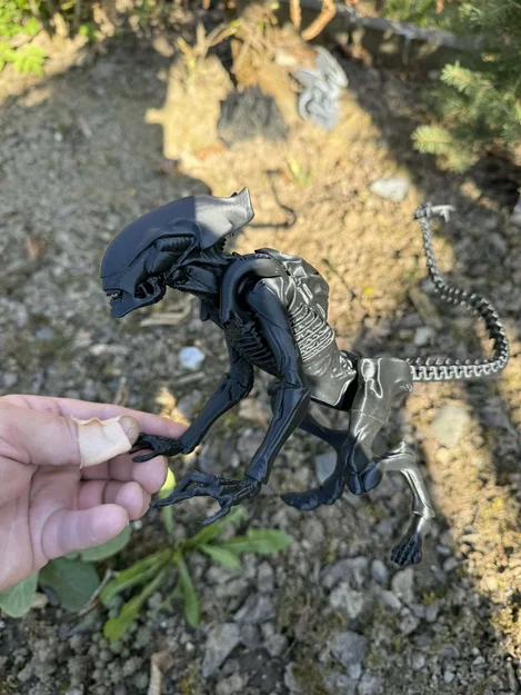 Alien, xenomorph non (young) - Image 6