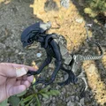 Alien, xenomorph non (young) - Thumbnail 6