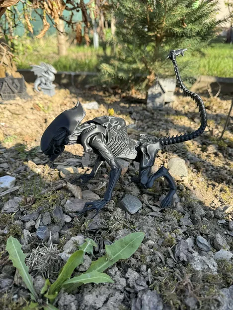 Alien, xenomorph non (young) - Image 7