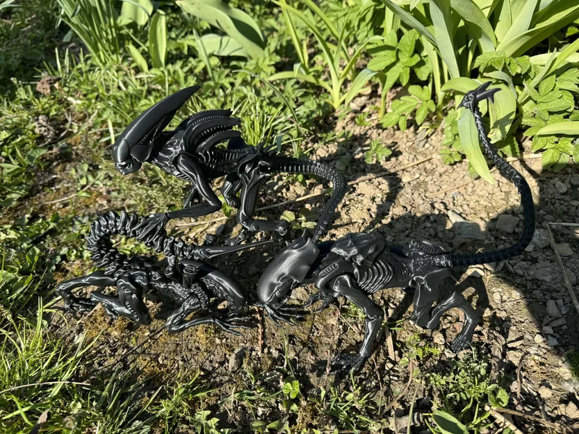 Alien, xenomorph non (young) - Image 8