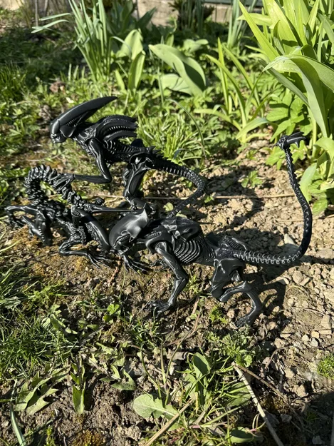 Alien, xenomorph non (young) - Image 9