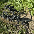 Alien, xenomorph non (young) - Thumbnail 9