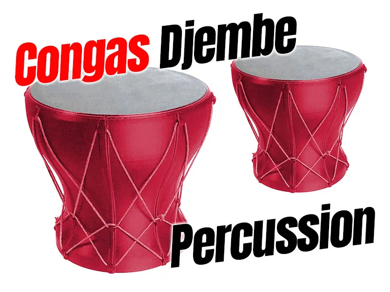 Bộ gõ Congas Djembe Percussion - Image 1