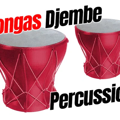 Bộ gõ Congas Djembe Percussion