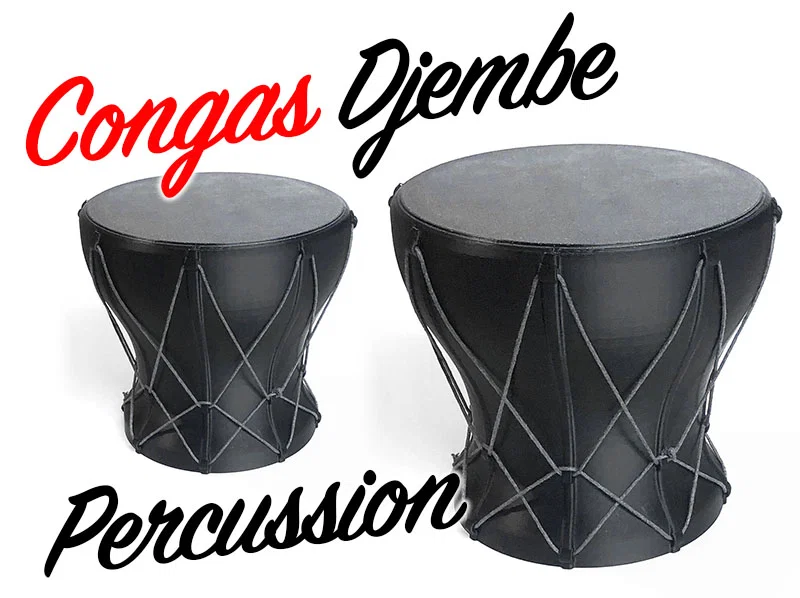 Bộ gõ Congas Djembe Percussion - Image 2