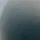 OOO_3718295