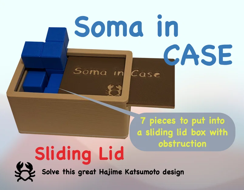 Soma in Case Packing Puzzle – Puzzle xếp khối SOMA trong hộp - Image 1