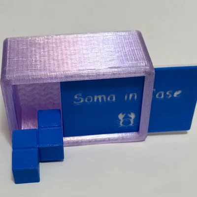 Soma in Case Packing Puzzle – Puzzle xếp khối SOMA trong hộp