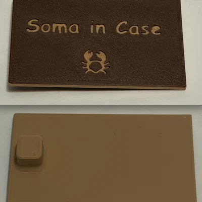 Soma in Case Packing Puzzle – Puzzle xếp khối SOMA trong hộp