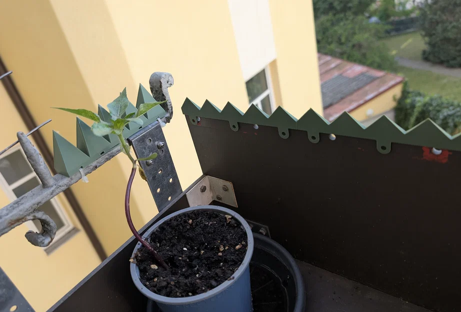 CatSpikes, Miếng nối lan can ban công - ĐÃ TEST! - Image 2