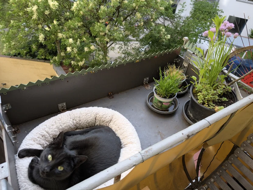 CatSpikes, Miếng nối lan can ban công - ĐÃ TEST! - Image 3