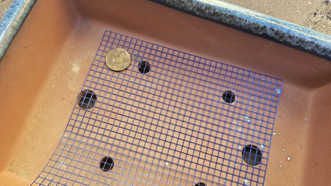 Lưới che lỗ thoát nước cho chậu bonsai - Image 1
