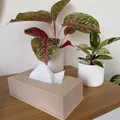 Nắp Hộp Khăn Giấy Tối Giản (Minimalist Tissue Box Cover) - Thumbnail 1