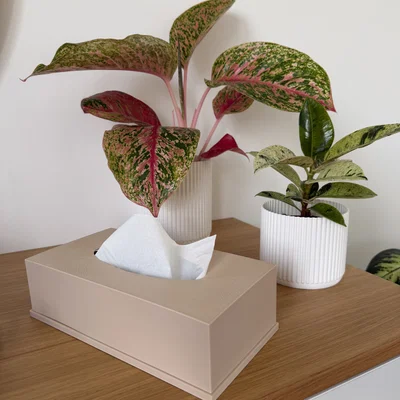 Nắp Hộp Khăn Giấy Tối Giản (Minimalist Tissue Box Cover)