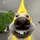 Shiloh_4543567
