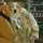 pugsy73_2628343