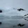 fred_B_06_2491728