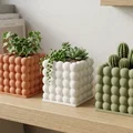 Bộ sưu tập chậu cây và hũ đựng đồ gia dụng 3D tiện ích - Thumbnail 2