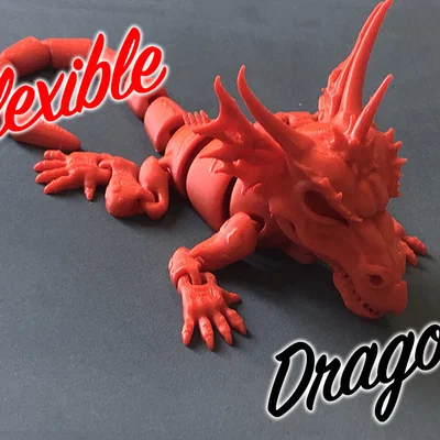 Bé Rồng Linh Hoạt Đầu To (Flexible Baby Dragon with a big head)