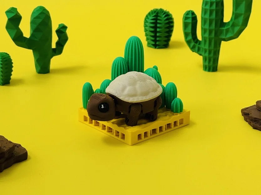 Rùa Sa Mạc – Figure Flexi Khớp Nối (Articulated) | Desert Tortoise - Image 7