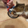 Dụng cụ ép túi thức ăn cho chó mèo (Squeezer) - Tận dụng tối đa thực phẩm - Thumbnail 10