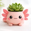 Chậu Axolotl Dễ Thương – Kawaii để bàn (Planter Holder/Coaster) - Thumbnail 1