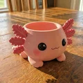 Chậu Axolotl Dễ Thương – Kawaii để bàn (Planter Holder/Coaster) - Thumbnail 2