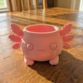 Chậu Axolotl Dễ Thương – Kawaii để bàn (Planter Holder/Coaster) - Thumbnail 3