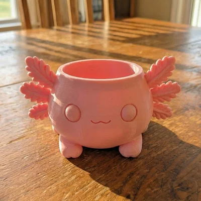 Chậu Axolotl Dễ Thương – Kawaii để bàn (Planter Holder/Coaster)
