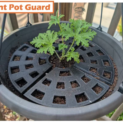 Tấm Chắn Chậu Cây (Plant Pot Guard)