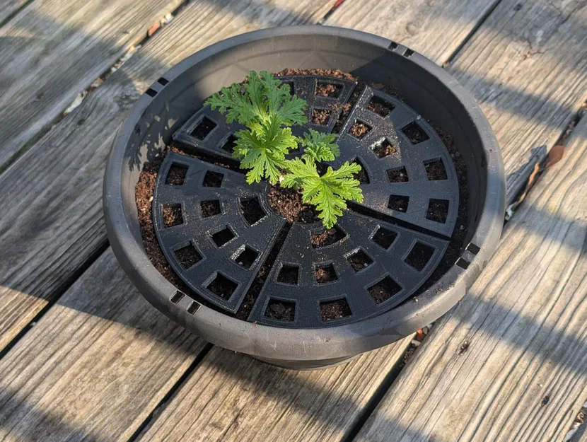 Tấm Chắn Chậu Cây (Plant Pot Guard) - Image 2